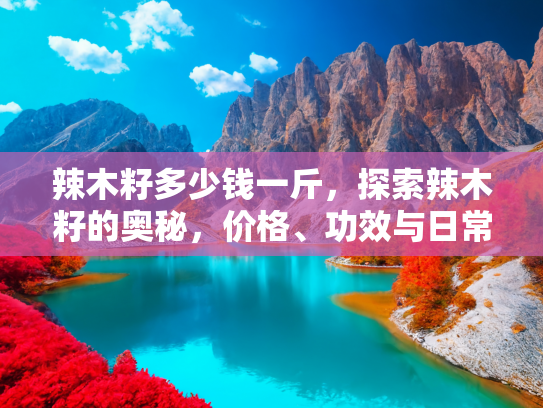 辣木籽多少钱一斤，探索辣木籽的奥秘，价格、功效与日常应用