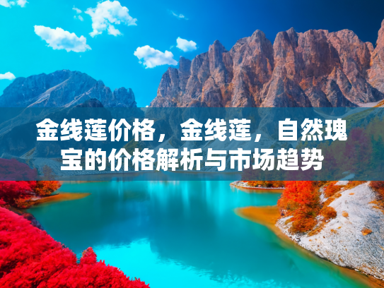 金线莲价格