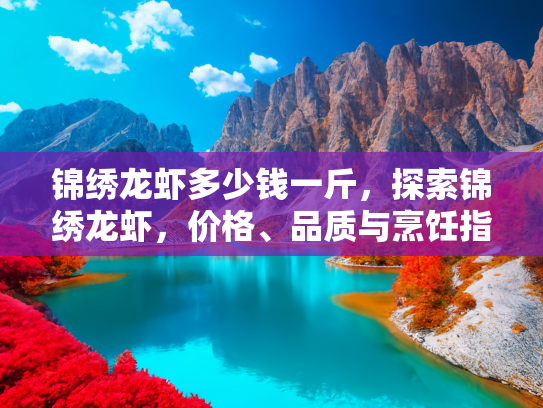 锦绣龙虾多少钱一斤，探索锦绣龙虾，价格、品质与烹饪指南