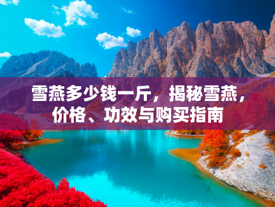 雪燕多少钱一斤，揭秘雪燕，价格、功效与购买指南
