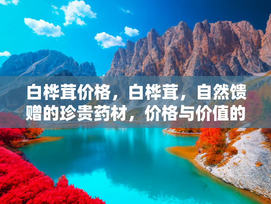 白桦茸价格，白桦茸，自然馈赠的珍贵药材，价格与价值的深度解析