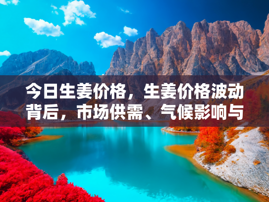 今日生姜价格，生姜价格波动背后，市场供需、气候影响与健康价值的综合分析