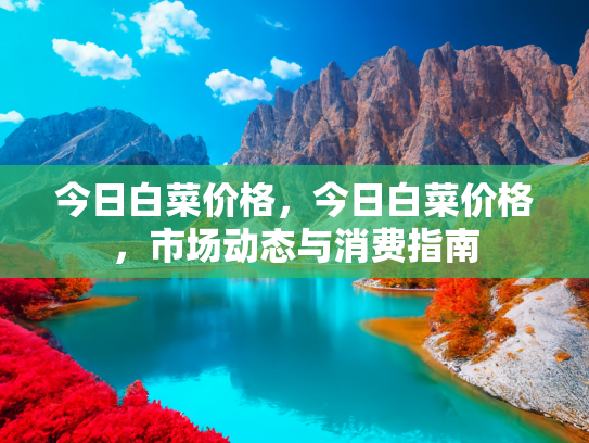 今日白菜价格，今日白菜价格，市场动态与消费指南