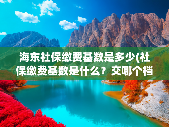 海东社保缴费基数是多少(社保缴费基数是什么？交哪个档合适？)