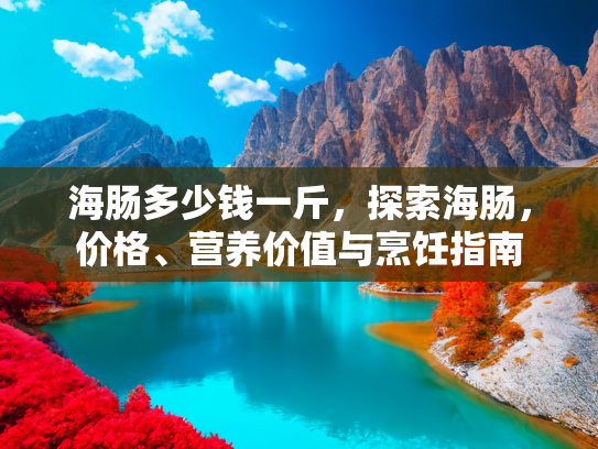 海肠多少钱一斤，探索海肠，价格、营养价值与烹饪指南