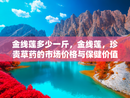 金线莲多少一斤，金线莲，珍贵草药的市场价格与保健价值解析