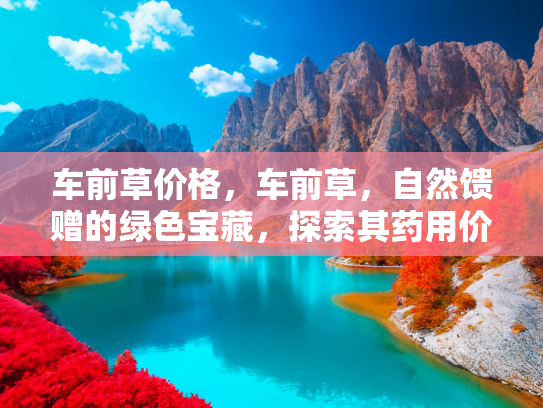 车前草价格，车前草，自然馈赠的绿色宝藏，探索其药用价值与市场价格