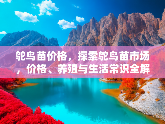 鸵鸟苗价格，探索鸵鸟苗市场，价格、养殖与生活常识全解析