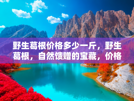 野生葛根价格多少一斤，野生葛根，自然馈赠的宝藏，价格与价值的探究