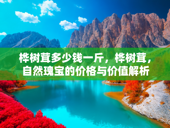 桦树茸多少钱一斤，桦树茸，自然瑰宝的价格与价值解析