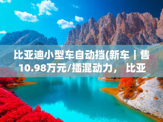比亚迪小型车自动挡(新车｜售10.98万元/插混动力， 比亚迪海豹06DM-i旅行版尊贵型到店)