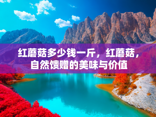 红蘑菇多少钱一斤，红蘑菇，自然馈赠的美味与价值