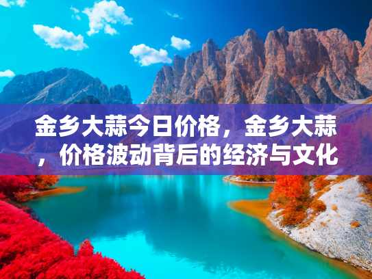 金乡大蒜今日价格，金乡大蒜，价格波动背后的经济与文化之旅