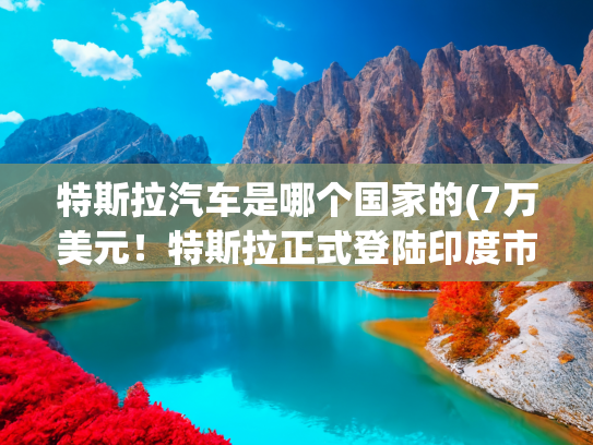 特斯拉汽车是哪个国家的(7万美元！特斯拉正式登陆印度市场 Model Y起售价为主要市场中最高)