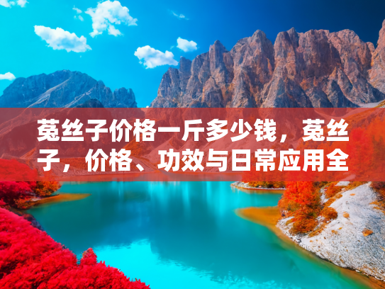菟丝子价格一斤多少钱，菟丝子，价格、功效与日常应用全解析