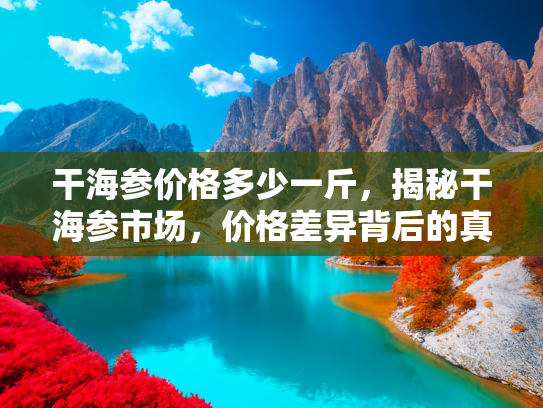 干海参价格多少一斤，揭秘干海参市场，价格差异背后的真相
