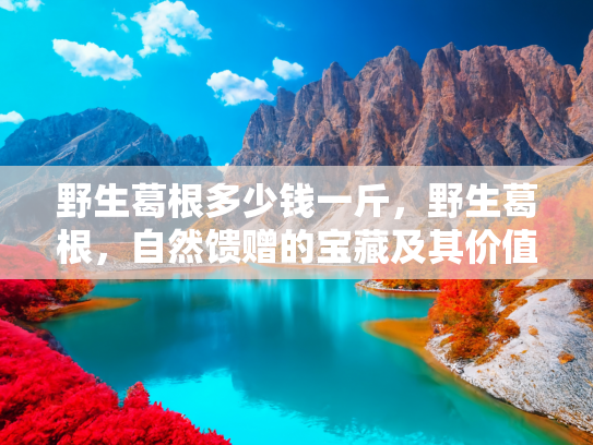 野生葛根