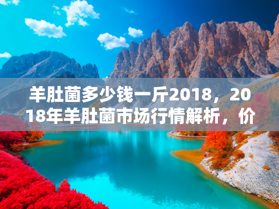 羊肚菌多少钱一斤2018，2018年羊肚菌市场行情解析，价格、影响因素与购买指南