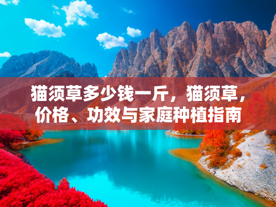 猫须草多少钱一斤，猫须草，价格、功效与家庭种植指南
