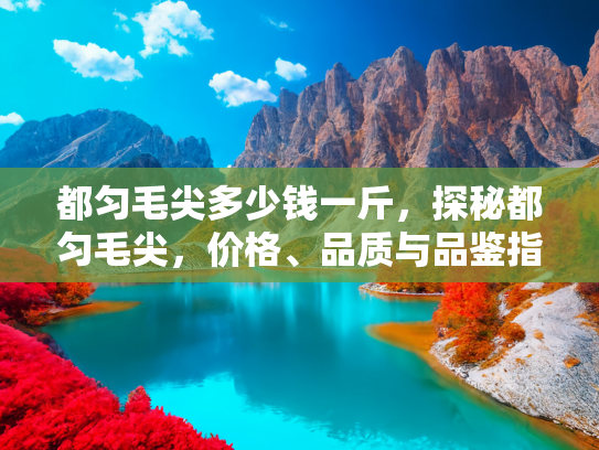 都匀毛尖多少钱一斤，探秘都匀毛尖，价格、品质与品鉴指南
