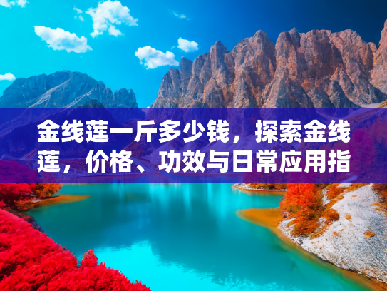金线莲一斤多少钱，探索金线莲，价格、功效与日常应用指南