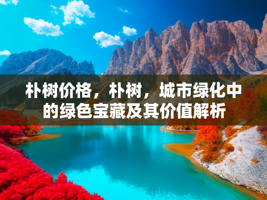朴树价格，朴树，城市绿化中的绿色宝藏及其价值解析