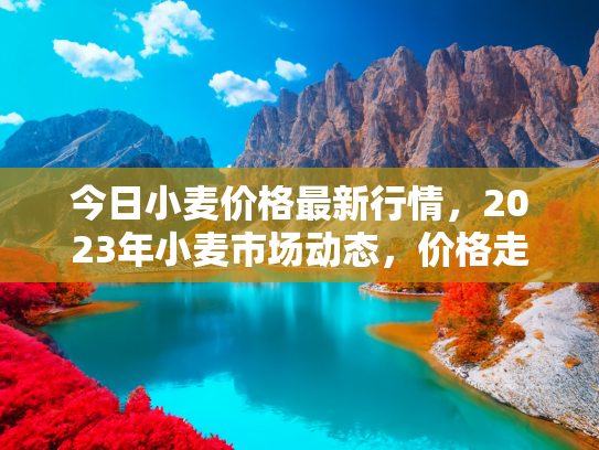 今日小麦价格最新行情，2023年小麦市场动态，价格走势分析与未来预测