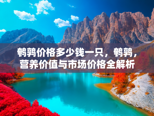 鹌鹑价格多少钱一只，鹌鹑，营养价值与市场价格全解析