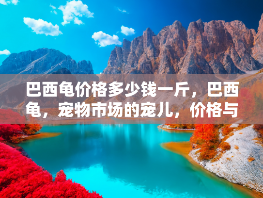 巴西龟价格多少钱一斤，巴西龟，宠物市场的宠儿，价格与养护全解析