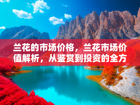 兰花的市场价格，兰花市场价值解析，从鉴赏到投资的全方位指南