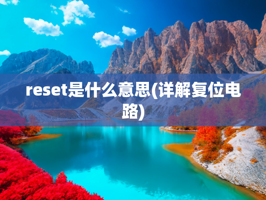 reset是什么意思(详解复位电路)