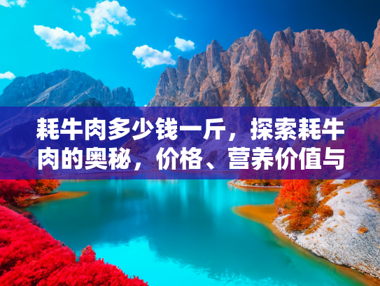 耗牛肉多少钱一斤，探索耗牛肉的奥秘，价格、营养价值与烹饪技巧