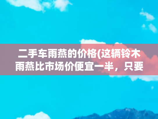 二手车雨燕的价格(这辆铃木雨燕比市场价便宜一半，只要2万块！买家很心动：捡漏了)