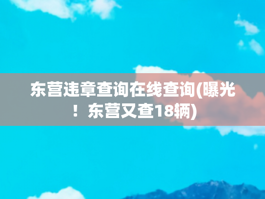 东营违章查询在线查询(曝光！东营又查18辆)