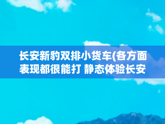 长安新豹双排小货车(各方面表现都很能打 静态体验长安新豹T3 PLUS | 卡车之友网)